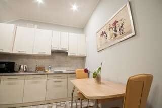 Апартаменты Wonderful flat on city center (Mukachivska 4/15) Ужгород Апартаменты-15