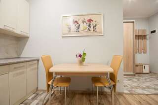 Апартаменты Wonderful flat on city center (Mukachivska 4/15) Ужгород Апартаменты-6